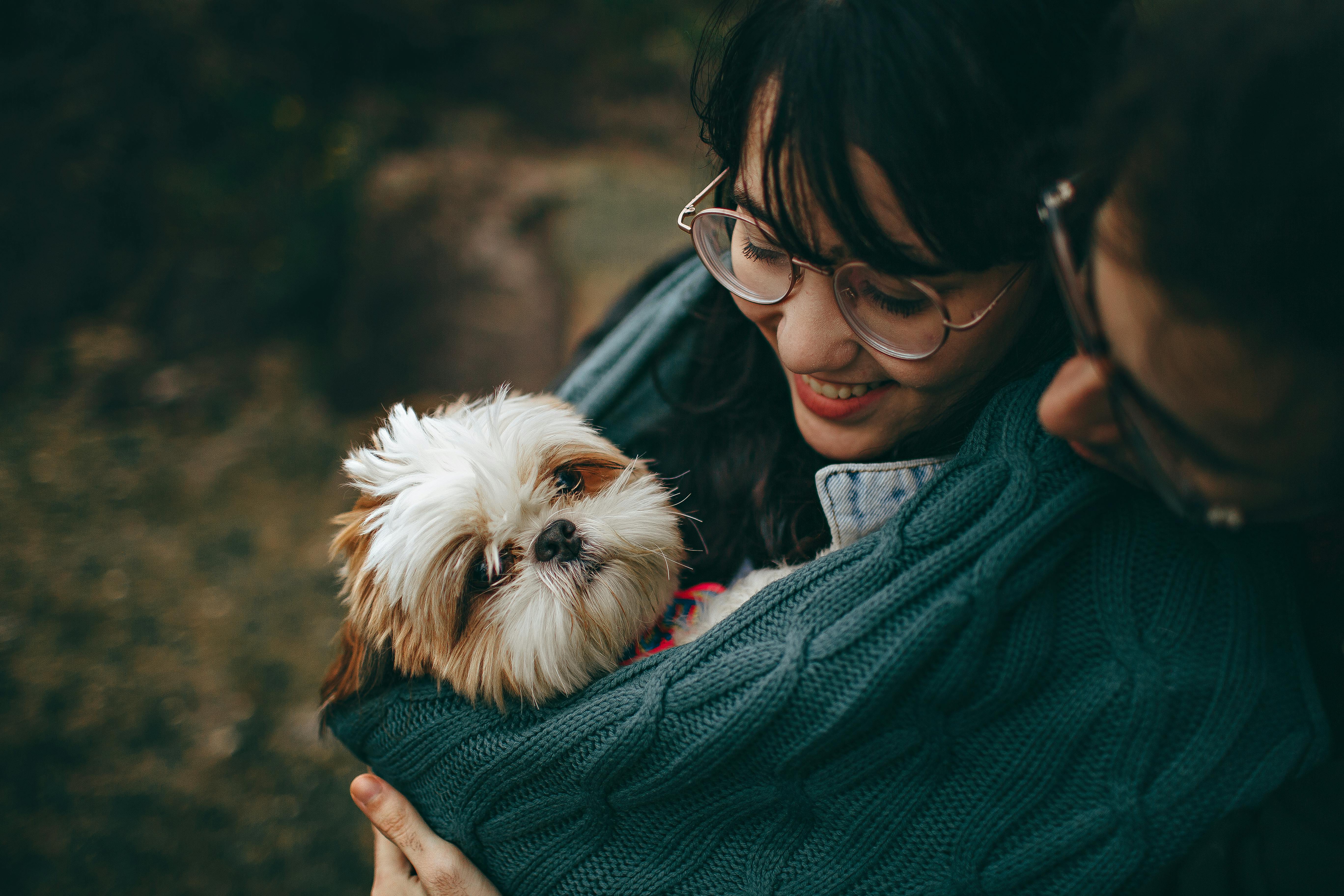 Top 5 Tips for First-Time Dog Owners
