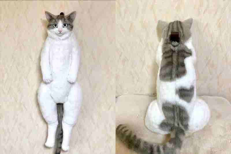 Simulation Cat Backpack Doll Children'S  Kitten Model Fake Simulation Animal Doll Plush Toy